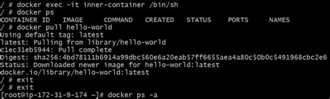 Image result for Docker Running Containers