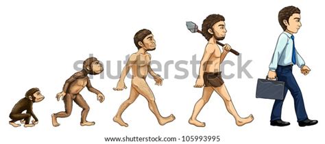 Image result for Process of Evolution Animation