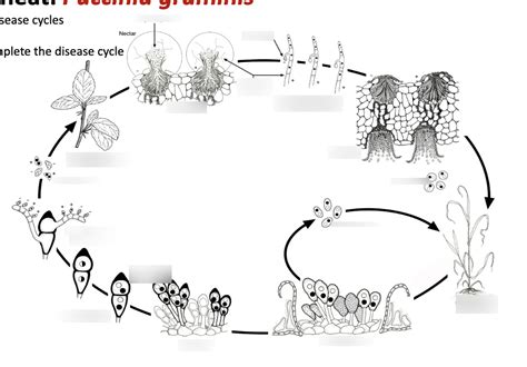 Image result for Rust Farm Cycle