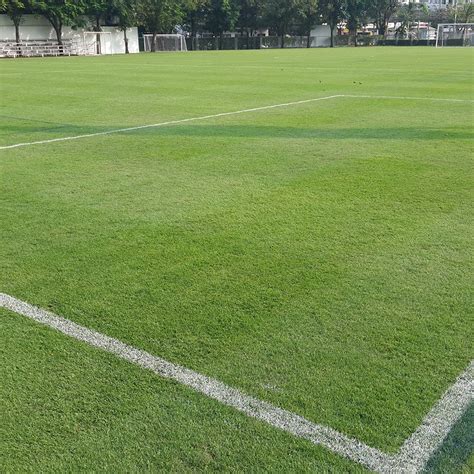 Football Court 的图像结果