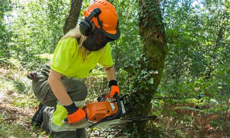 Northeastern Tree Service 的图像结果