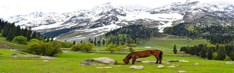 Jammu And Kashmir Holiday Packages