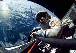 Image result for Alien Skin Concept
