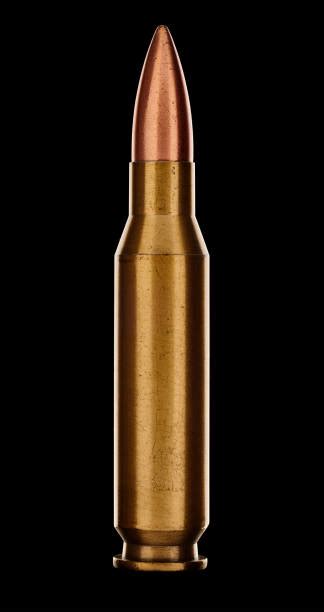 What Is a Full Metal Jacket Bullet 的图像结果