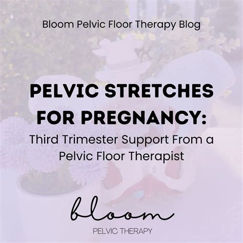 Best Pelvic Therapy in Tampa, St. Pete, and Lutz | Bloom Pelvic Floor ...