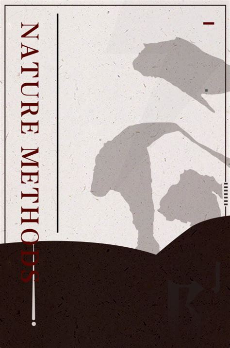 Springer Nature Methods Book 的图像结果