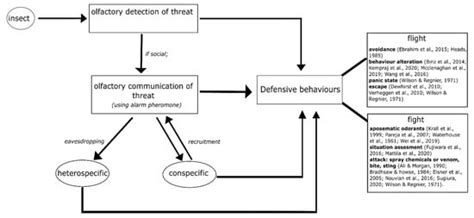 Insects | Special Issue : Recent Advances in Physiology of Insect Olfaction
