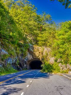 Download wallpaper 240x320 road, tunnel, darkness, trees, shadows old ...