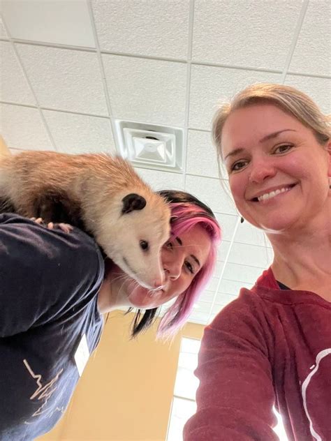 DONATIONS Wildlife Yoga with Southwest Virginia Wildlife Center with ...