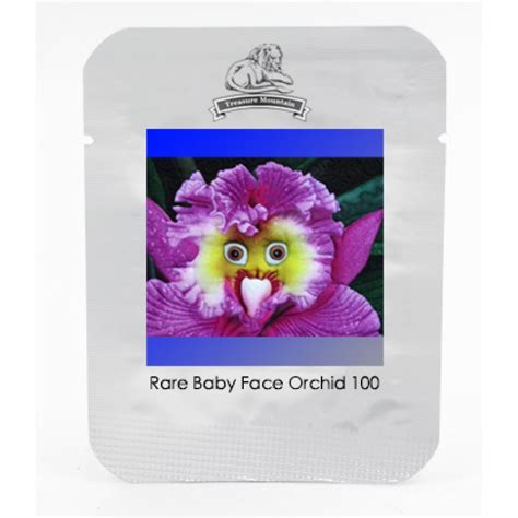 Baby Face Flower Seeds