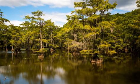 4 Remote Lakes in Texas to Fish and Swim - A-Z Animals