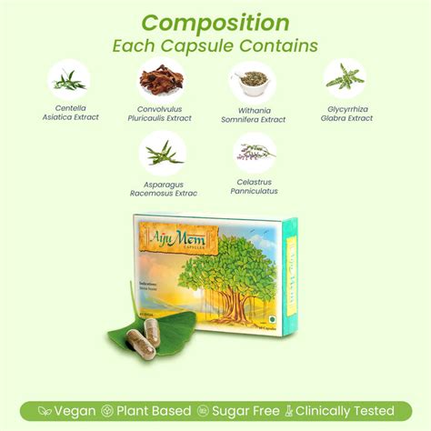Ayurvedic Medicine Supplements - Pure & Natural – Welex Care
