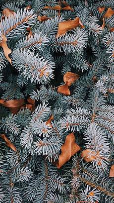 Iphone Xr Wallpaper Artsy by The Set Of Wallpapers For Your New Iphone Xr Iphone Xr Wallpaper Artsy