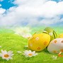 Image result for Easter Photography Background Theme
