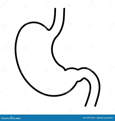 Set Of Simple Gastrointestinal Illustrations Of Bowel Internal System. Healthy Gut Concept ...