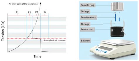 Studying Unimodal, Bimodal, PDI and Bimodal-PDI Variants of Multiple ...