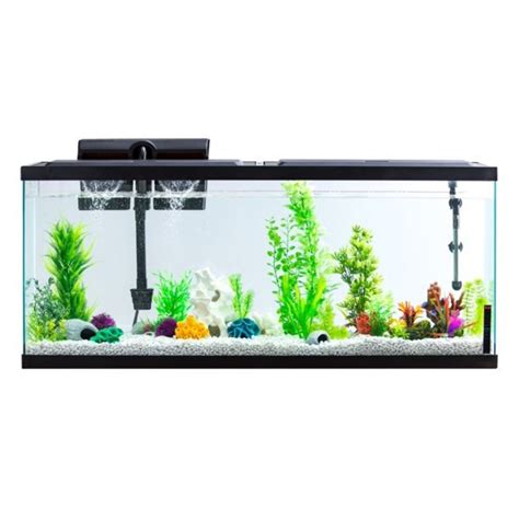 Best 50 Gallon Fish Tank of 2026