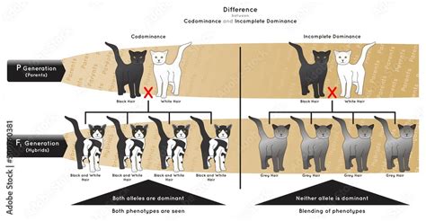 Image result for Codominance Examples Animals