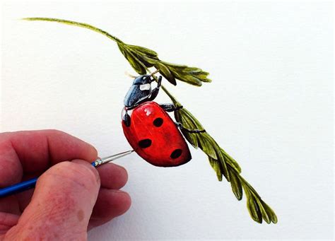 Image result for Paint Tutorial Ladybug