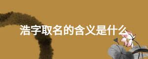 杏彩app带浩字的公司名字大全浩字取公司名字有哪些-杏彩网站登录_(中国)官网入口网页