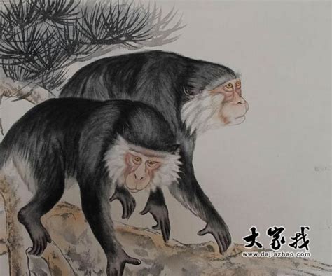 属猴的出生年份 属猴的出生年份表 - 万年历
