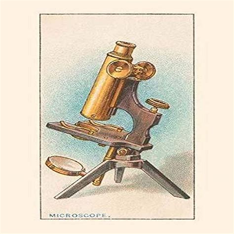 First Compound Microscope 的图像结果