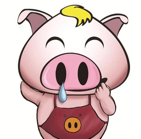 猪年生的宝宝为啥有福气 属猪的有福气-周易算命网