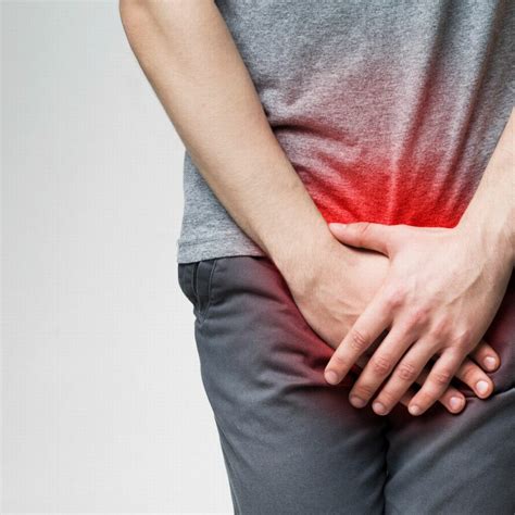 Image result for Cremasteric Muscle Contraction