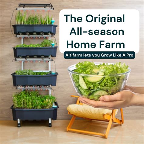 Beautiful Indoor Vegetable Gardens