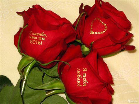 ����� �������� ����� ��� ������� �������� - 66 ����