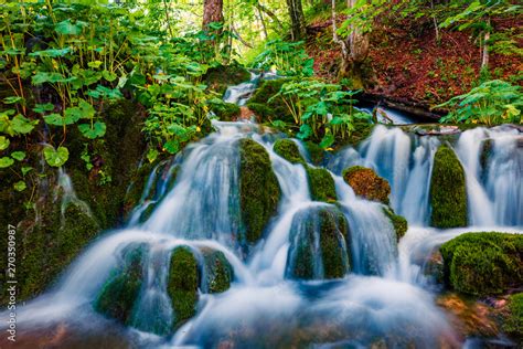 Water Spring Scenery 的图像结果