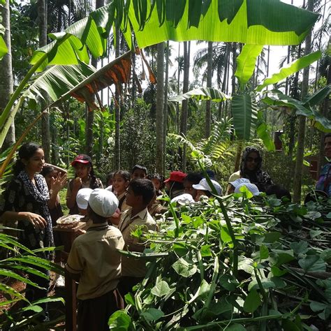 ATREYA VEDIC AND SPICE PLANTATION (2025) All You Need to Know BEFORE ...