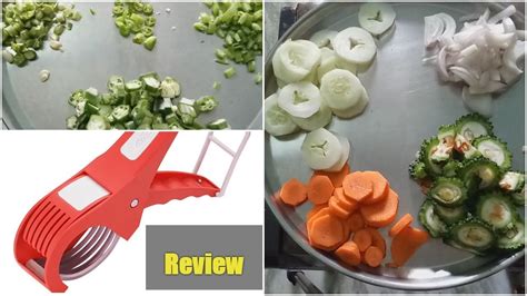 Vegetable Cutter Review 的图像结果