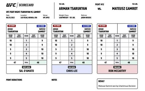 Stats show Arman Tsarukyan landed more significant strikes, Mateusz ...
