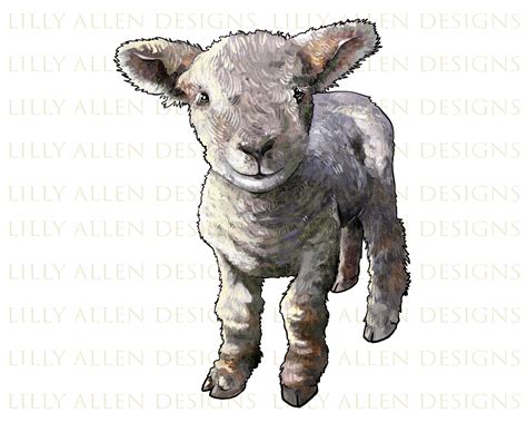 Southdown Sheep Wallpapers - Wallpaper Cave