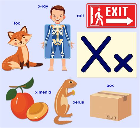 Words that Start With the Letter X for Kids | ABCmouse