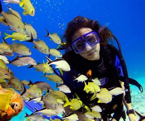 SCUBA DIVING CANCUN (2025) All You Need to Know BEFORE You Go (with ...