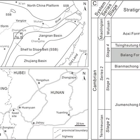 Image result for Fossil Formation Process Map