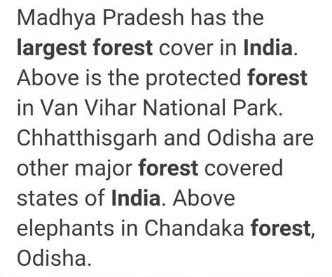 which is the largest forest in India and where it is? - Brainly.in
