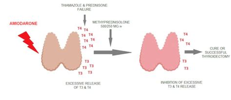 The Utility of Intravenous Methylprednisolone as an Adjunct Treatment ...