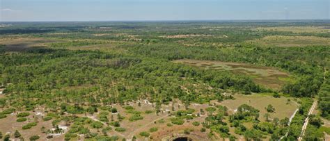 RES Acquires Bluefield Ranch Mitigation Bank in Florida