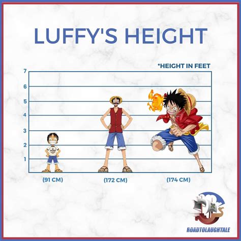 How Tall Is Luffy After Timeskip - Read Anime Online