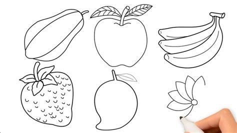 fruit drawing name