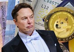 Image result for Elon Musk seeks to end Dogecoin lawsuit