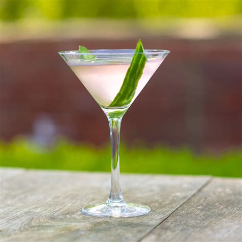 Pink Gin Martini Cocktail Recipe | Think Gin Club