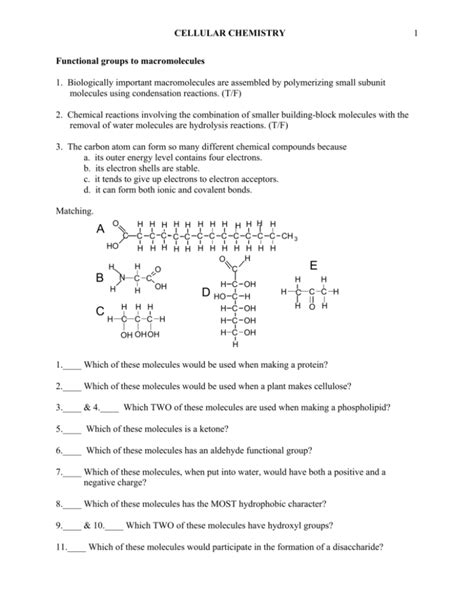 Image result for Macromolecules Functional Groups