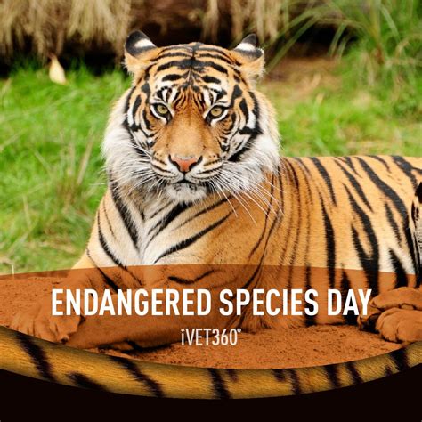 Endangered Meaning In Urdu