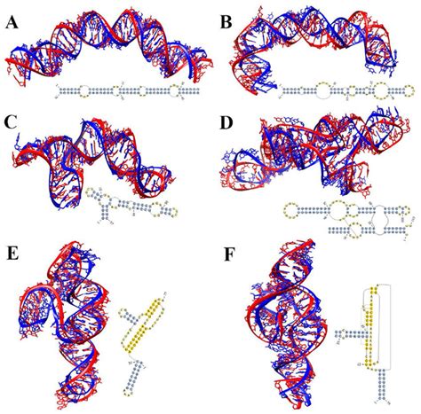 RNA Model 的图像结果