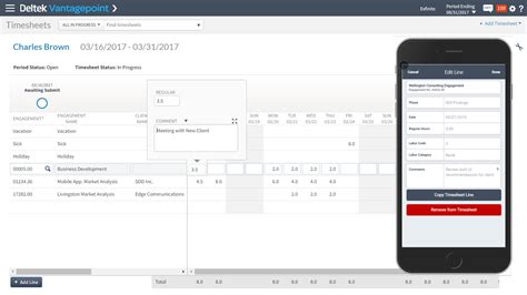 Deltek Costpoint Timesheet 的图像结果