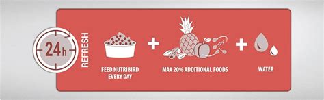 Versele Laga NutriBird A19 Hand-Rearing Food for Macaws, African Greys ...